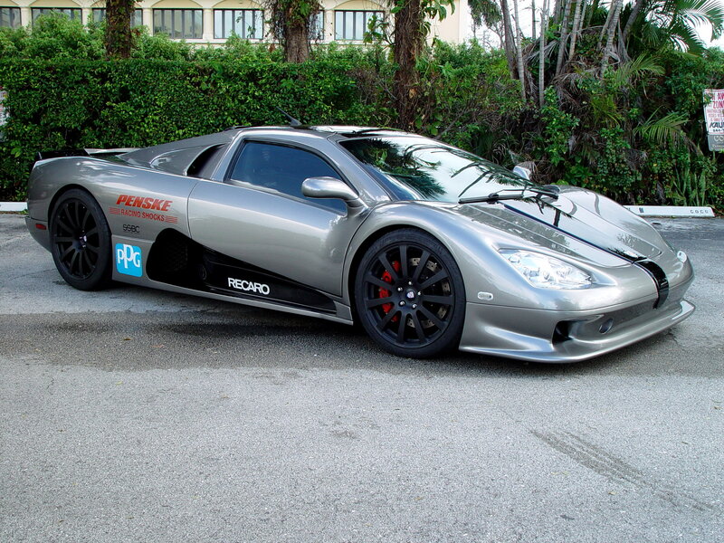 Silver Sports Car — Gray, Calm, Afternoon, Photograph, Hedge