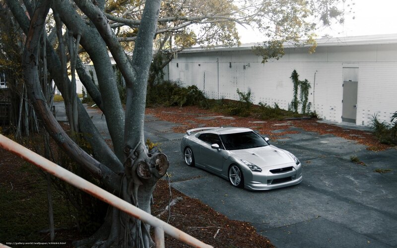 Silver Sports Car — Gray, Calm, Autumn, Photograph