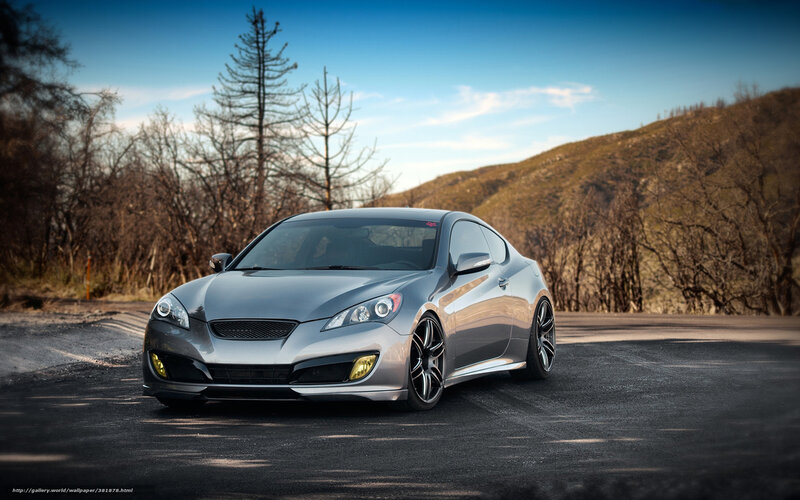 Silver Sports Car — Gray, Dramatic, Afternoon, Photograph, Road, Trees, Hill