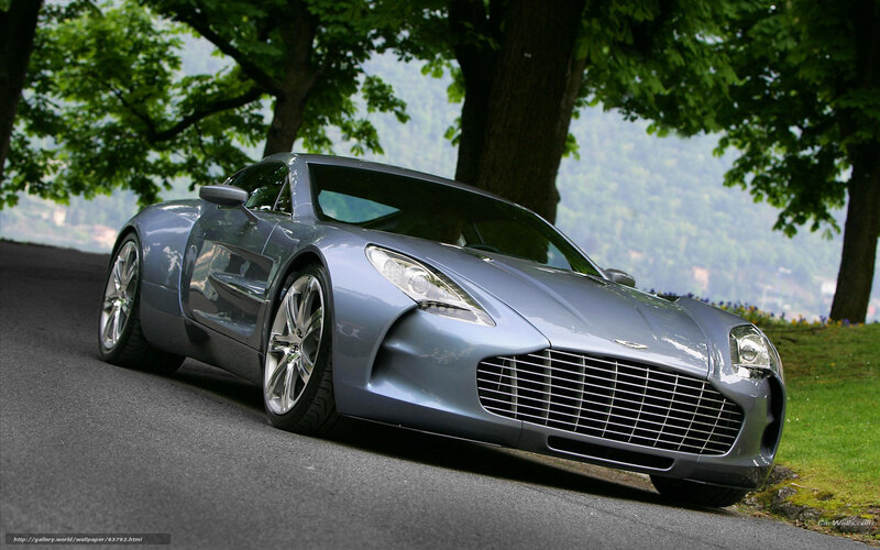 Silver Sports Car — Gray, Serene, Afternoon, Photograph, Trees