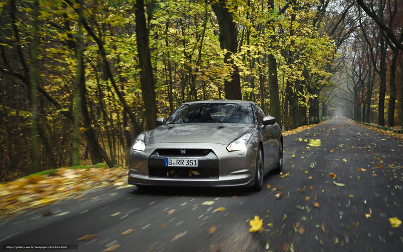 Silver Sports Car — Gray, Serene, Autumn, Photograph, Road, Trees