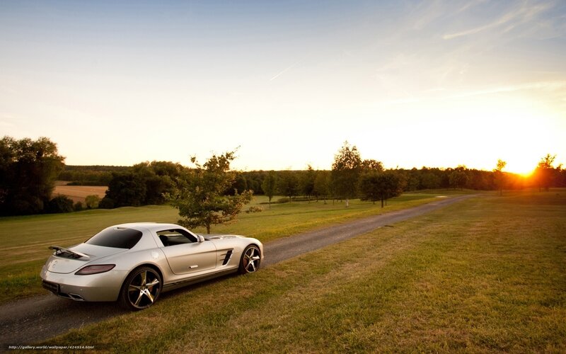 Silver Sports Car — Green, Serene, Sunset