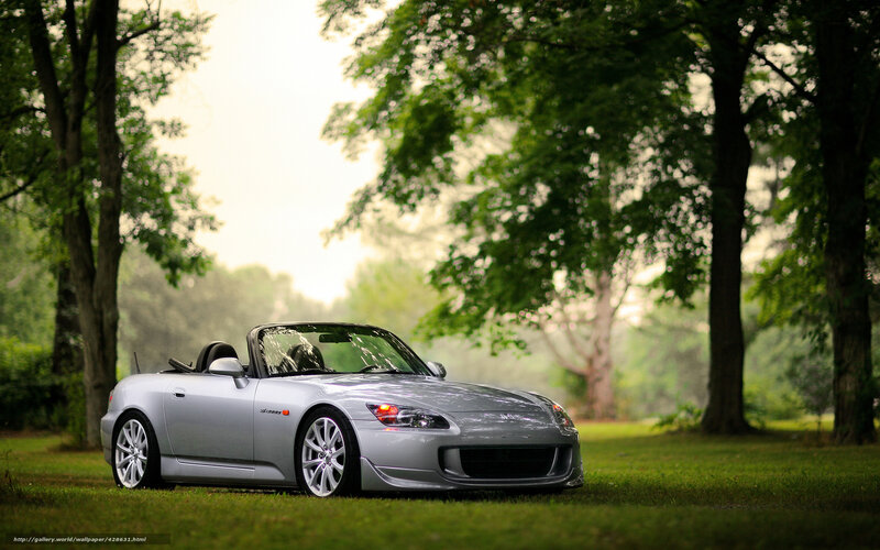 Silver sports car in a park