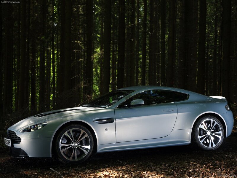silver sports car in forest