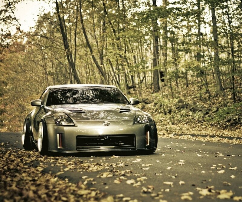 silver sports car in forest