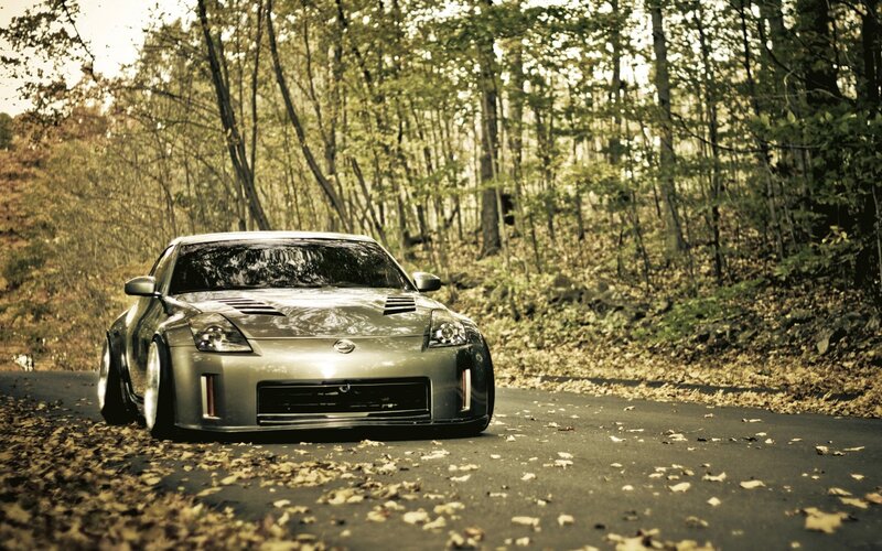 silver sports car in forest