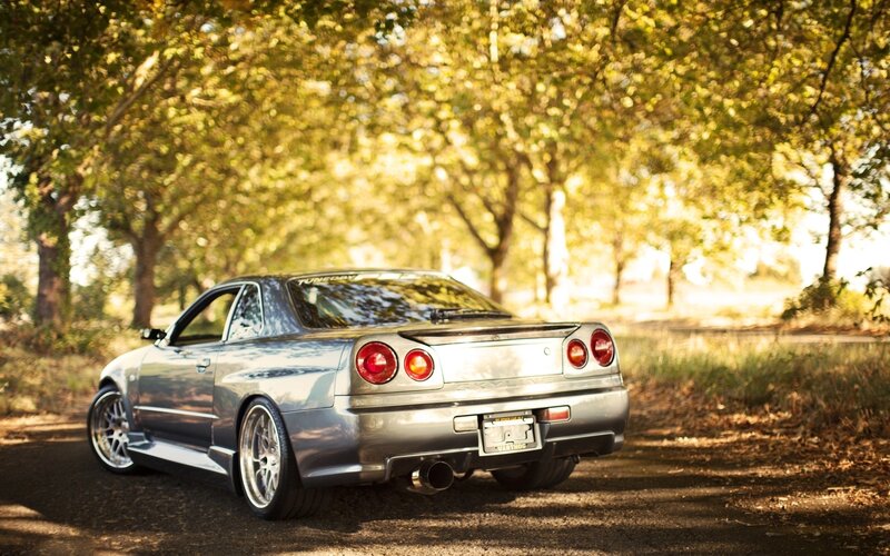 silver sports car in forest