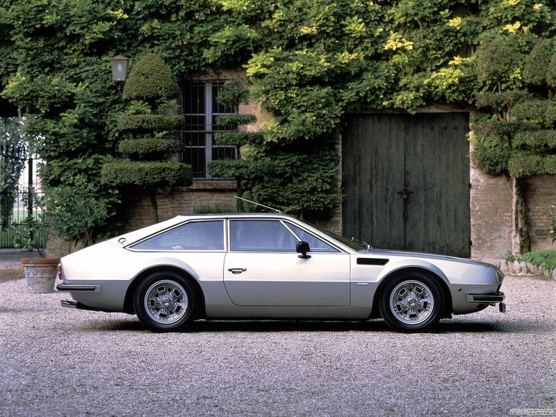 silver sports car in garden
