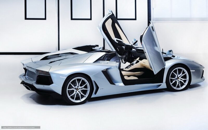 Silver Sports Car — Modern, Photograph, Car Door