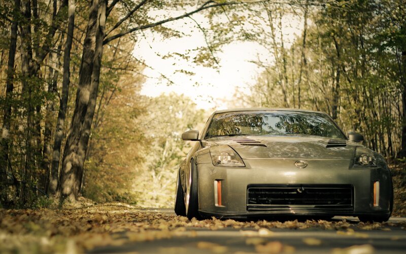 Silver sports car on a leafy road