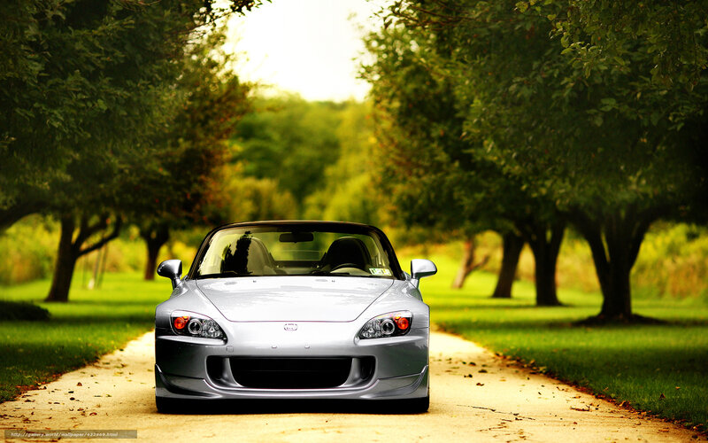 Silver sports car on a tree-lined road