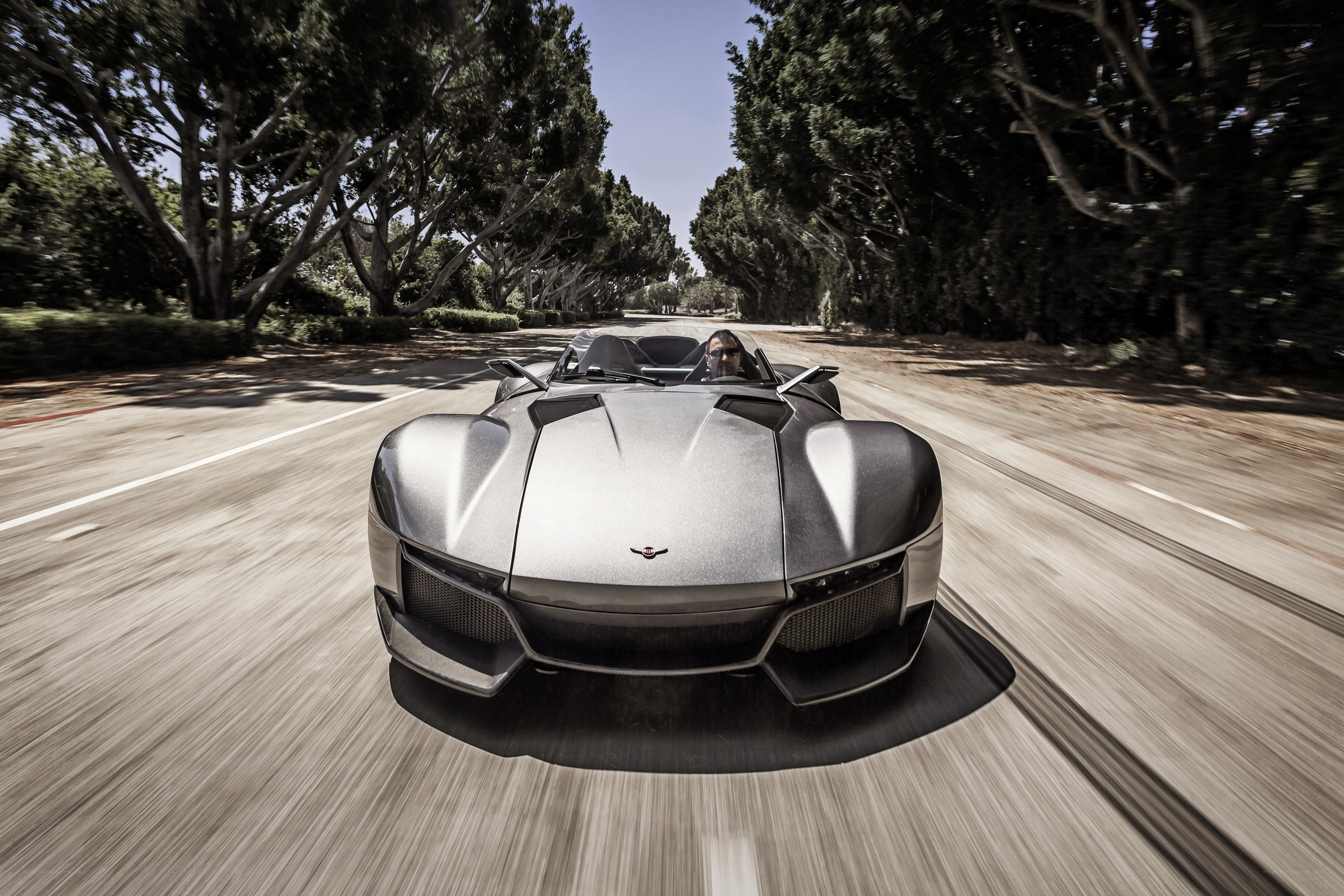 Silver sports car on a tree-lined road