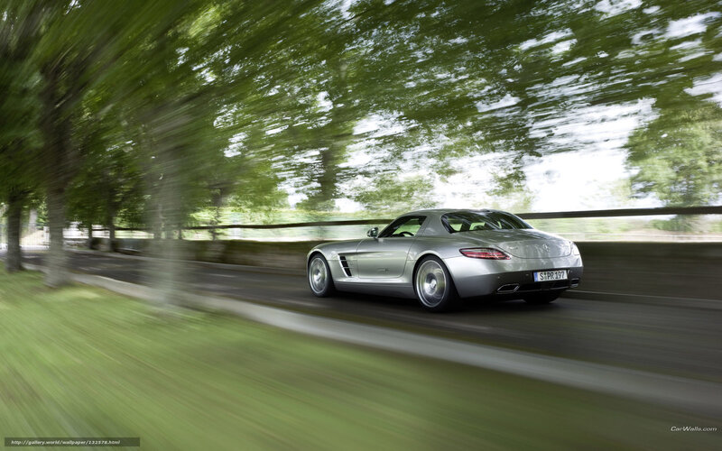 silver sports car on a tree-lined road