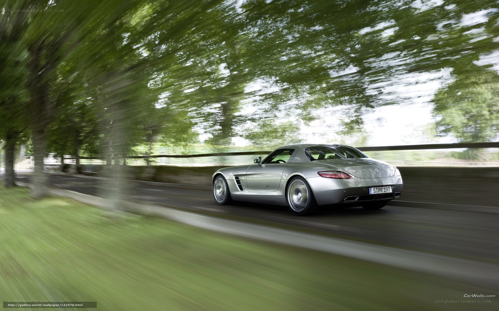 silver sports car on a tree-lined road