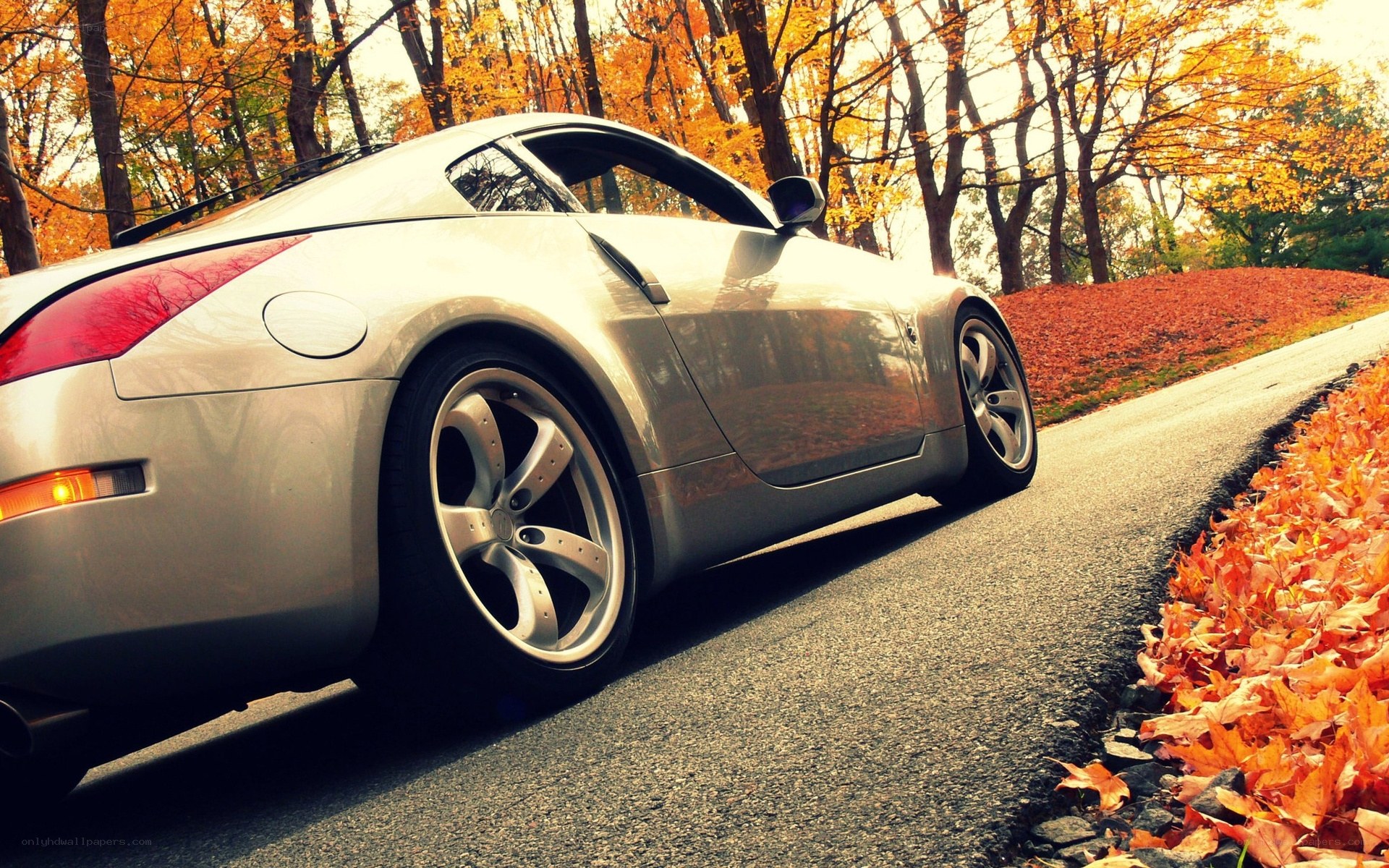 Silver sports car on autumn road
