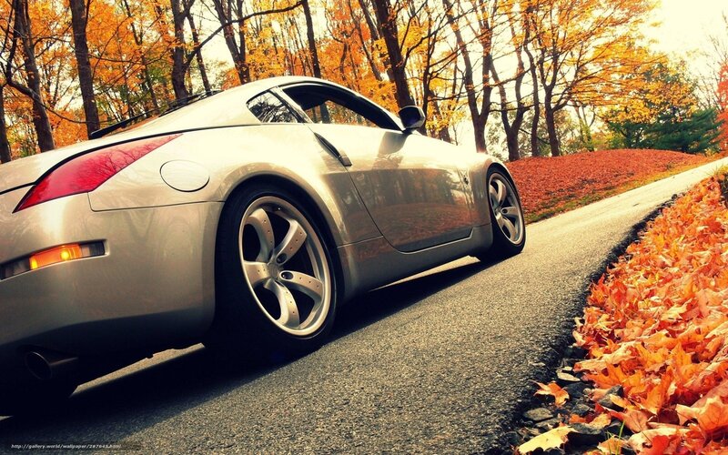Silver sports car on autumn road