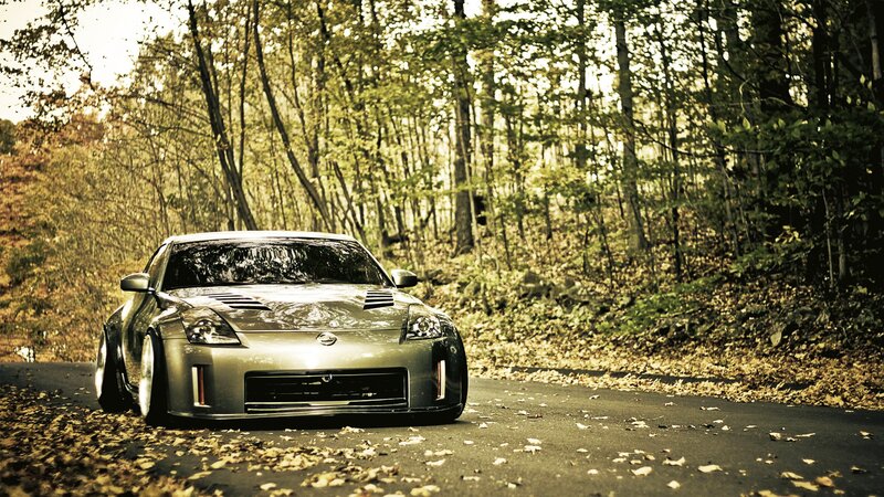 silver sports car on forest road