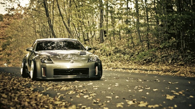 silver sports car on forest road
