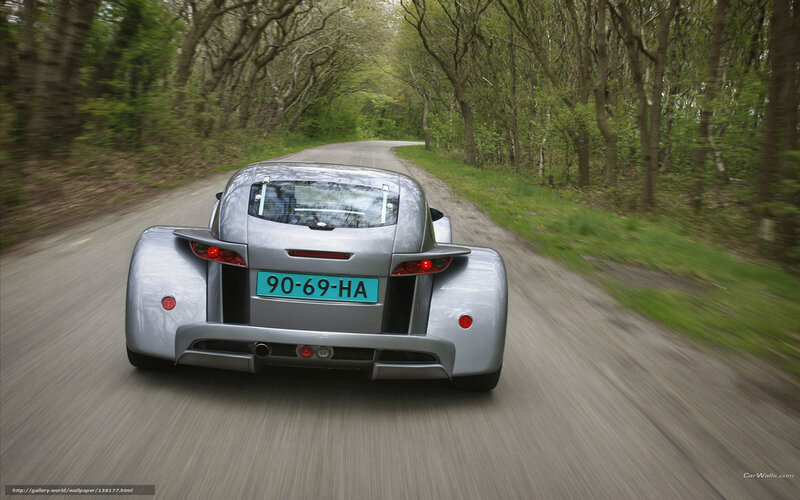 silver sports car on forest road