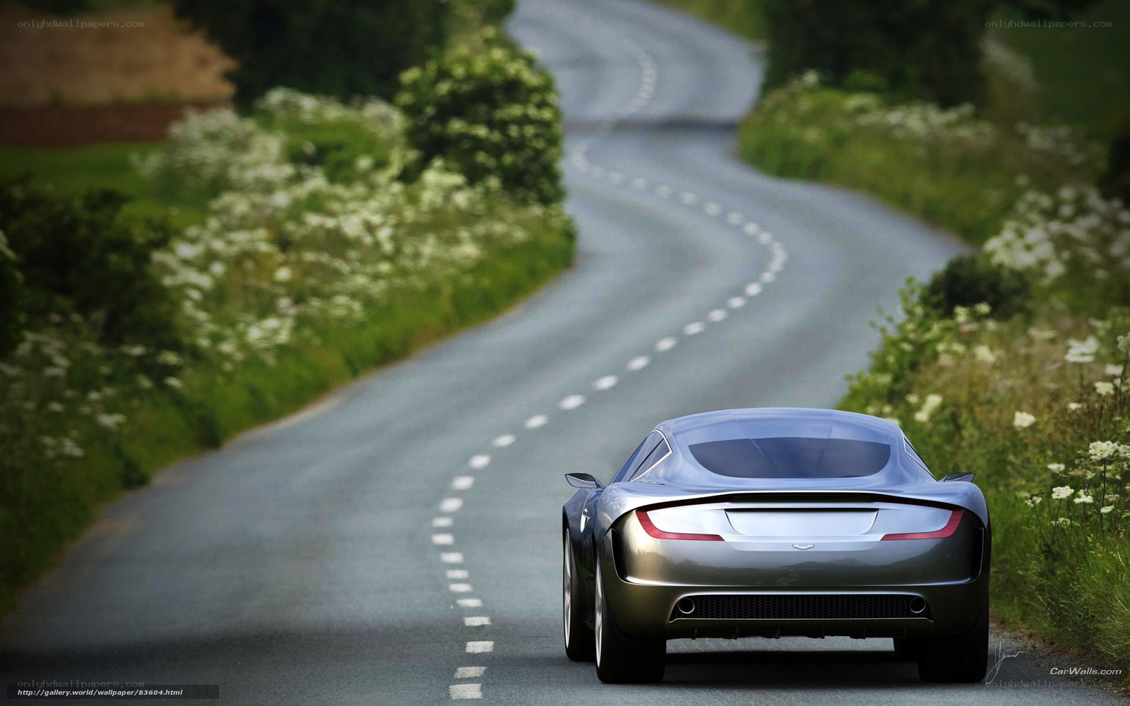 Silver sports car on winding road