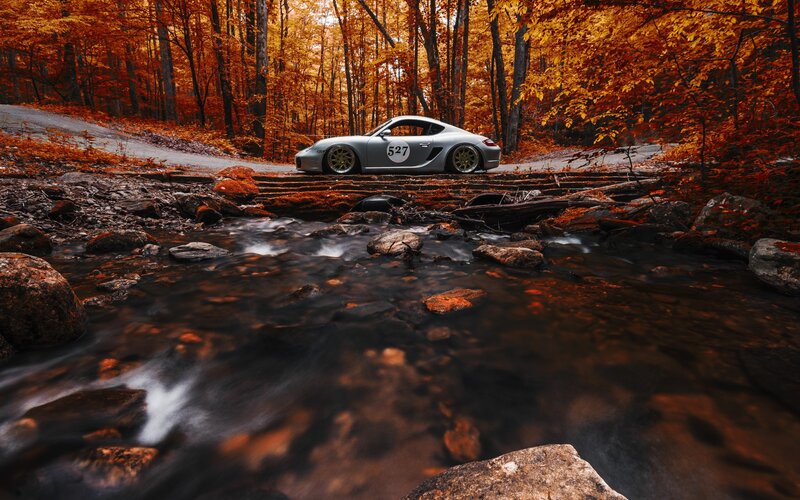 Silver Sports Car — Orange, Serene, Autumn, Photograph, Forest