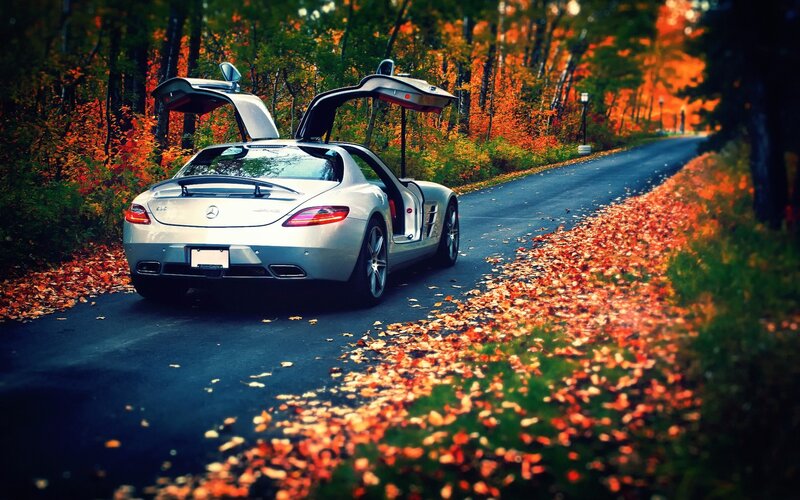 Silver Sports Car — Orange, Serene, Autumn, Photograph