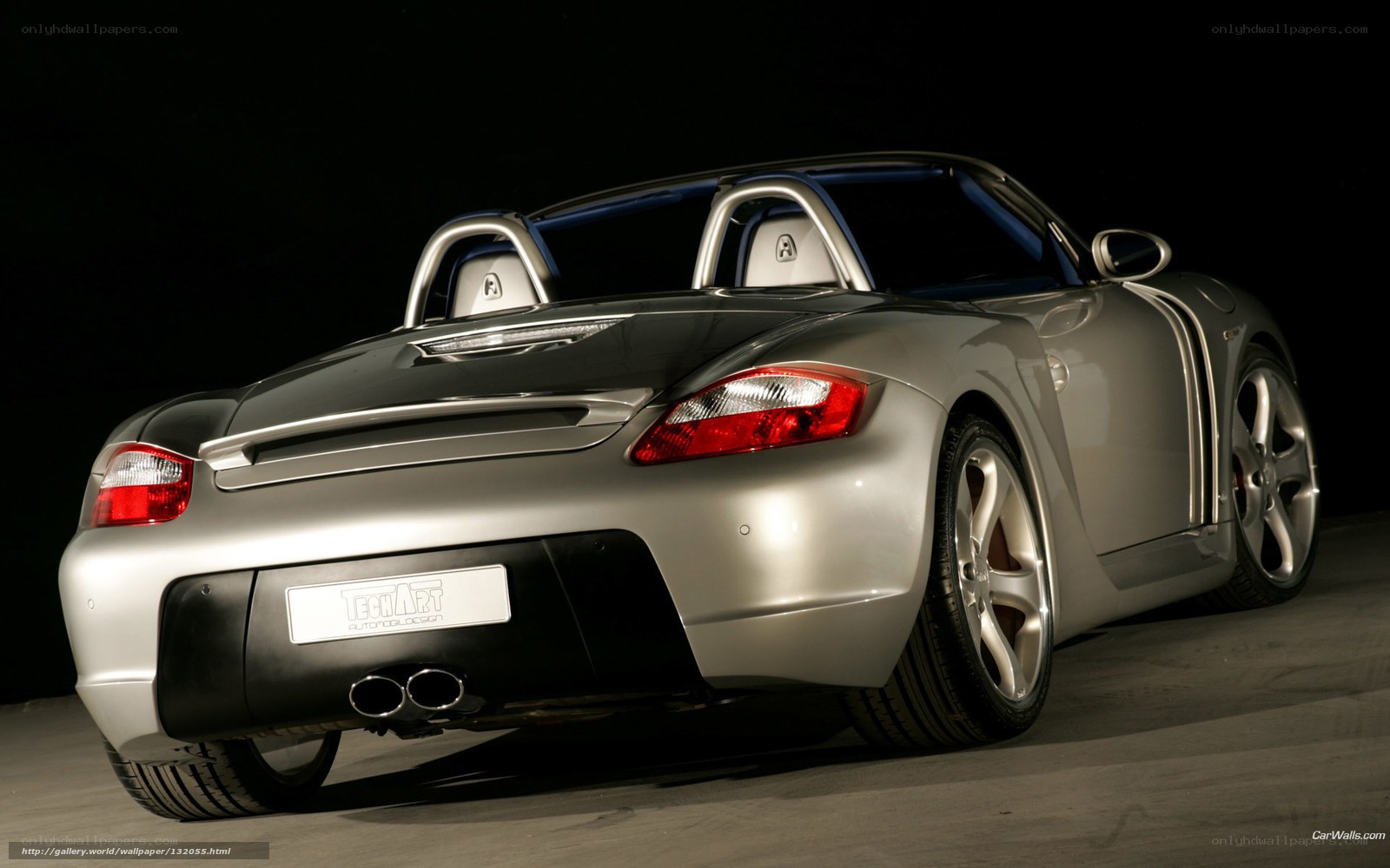 silver sports car rear view
