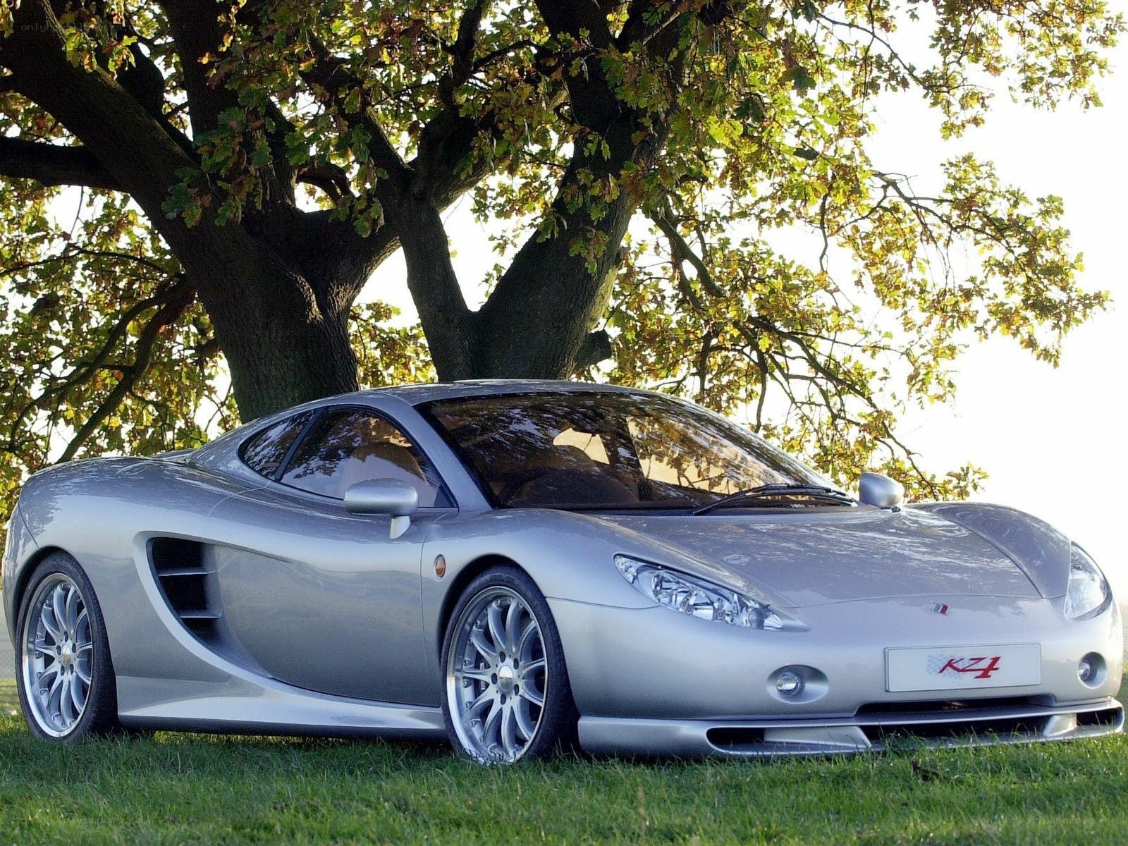 Silver sports car under a tree