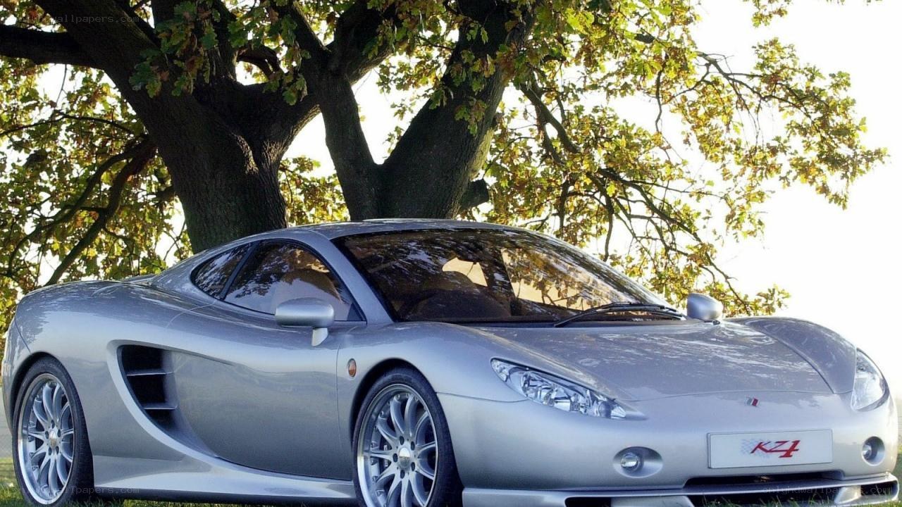 Silver sports car under tree