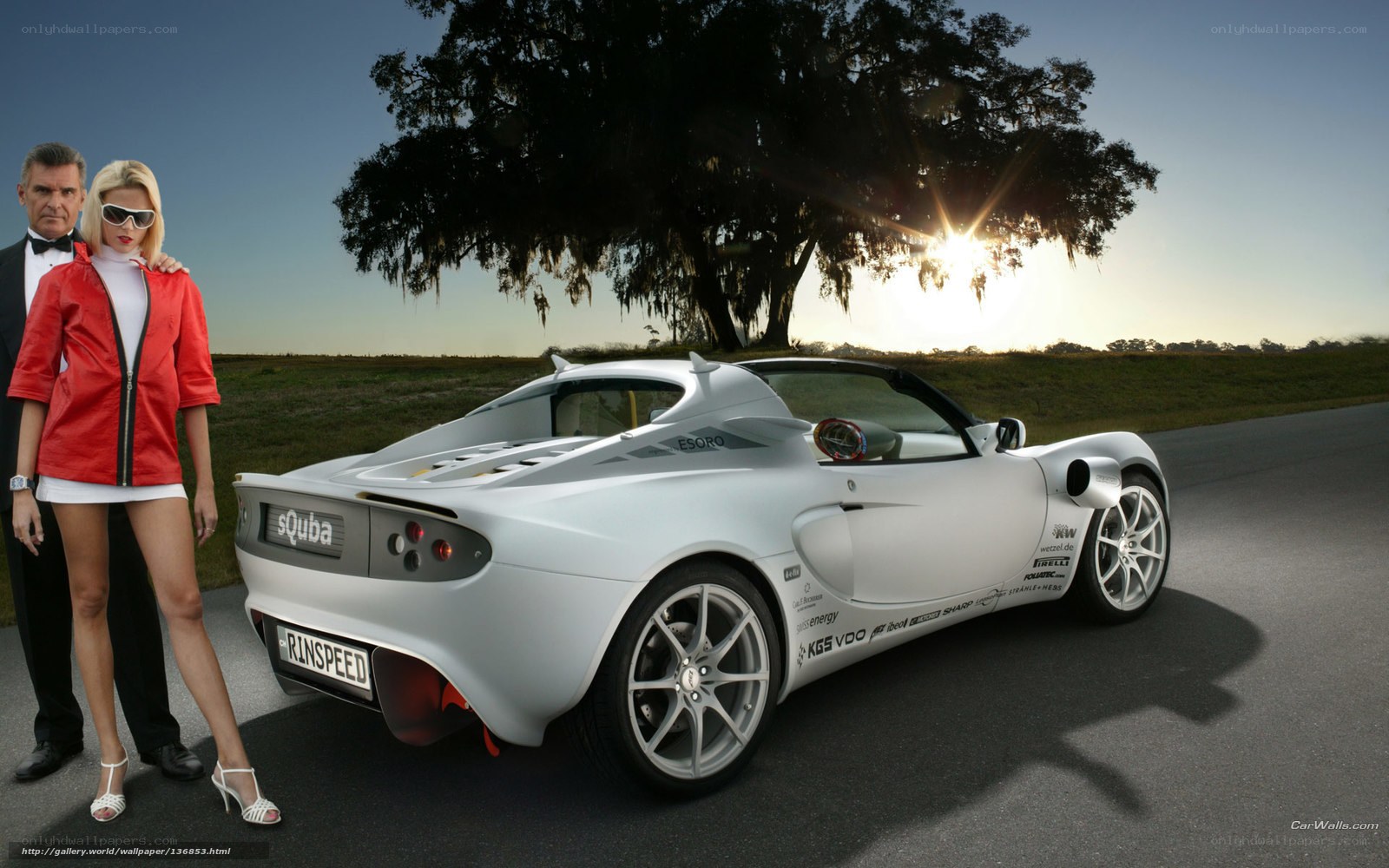 Silver sports car with couple
