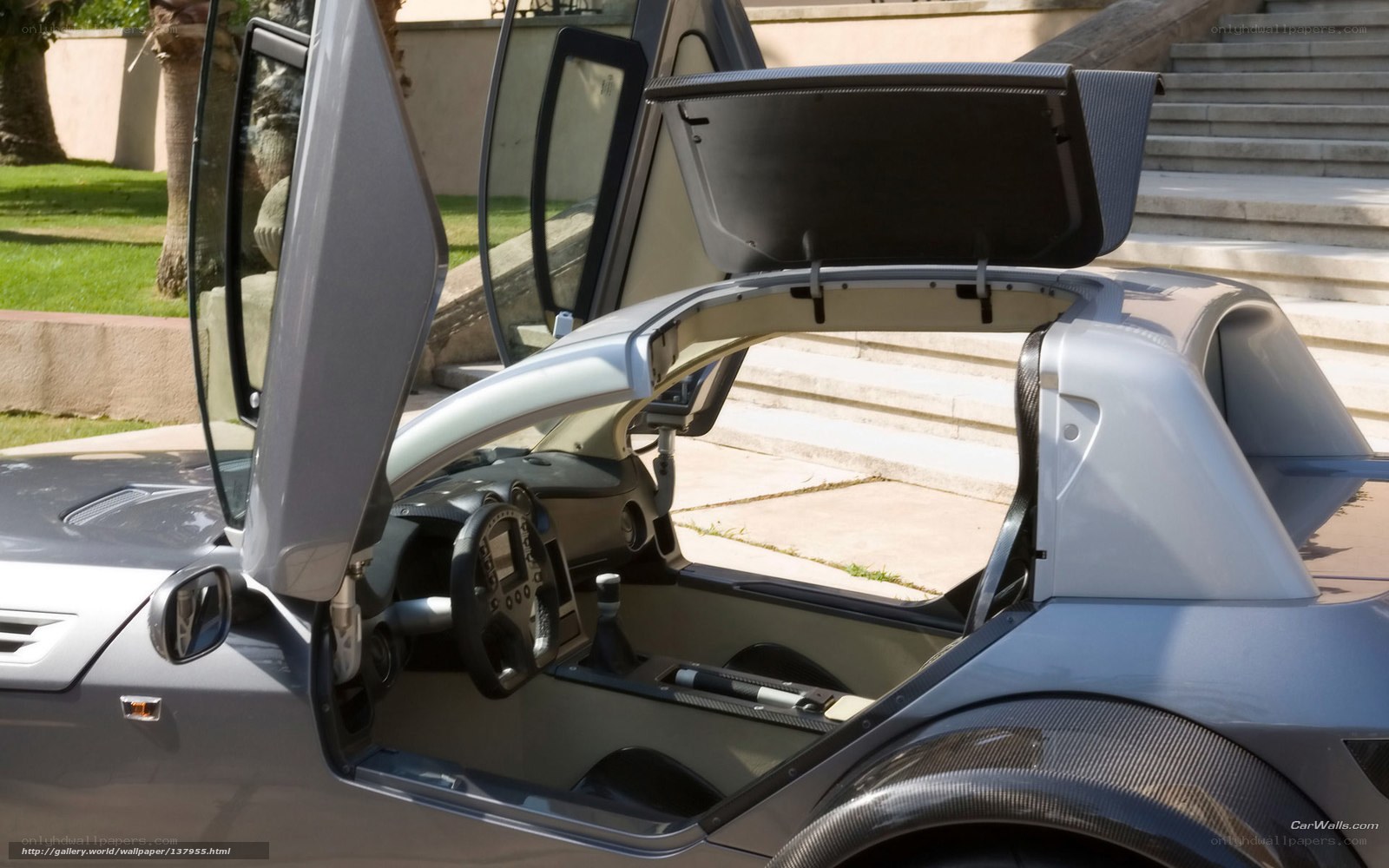 silver sports car with open doors