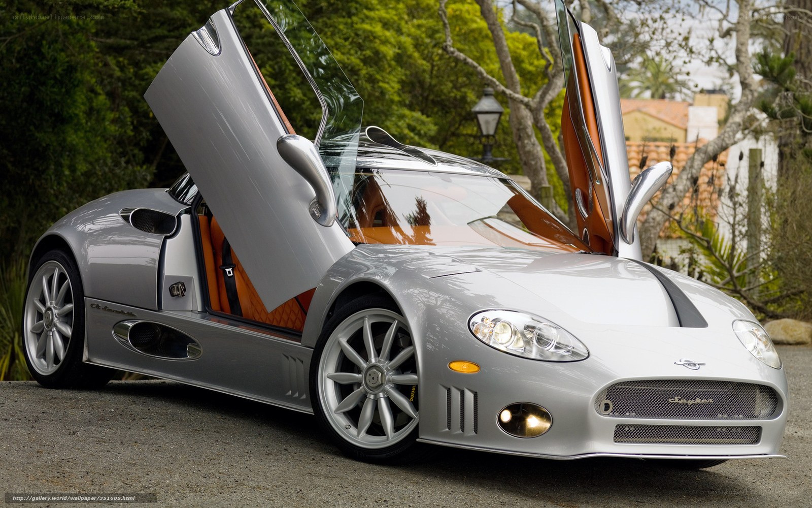 silver sports car with open doors