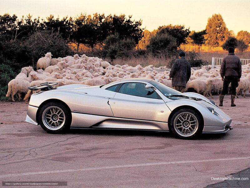 Silver sports car with sheep