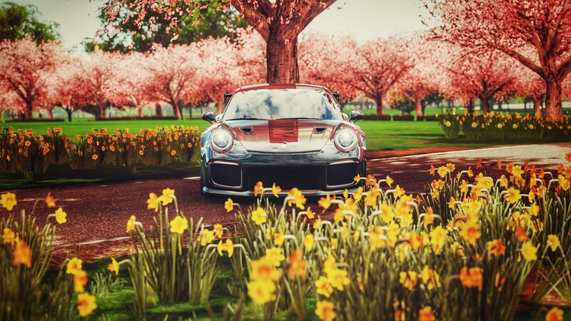 Silver Sports Car — Yellow, Serene, Spring