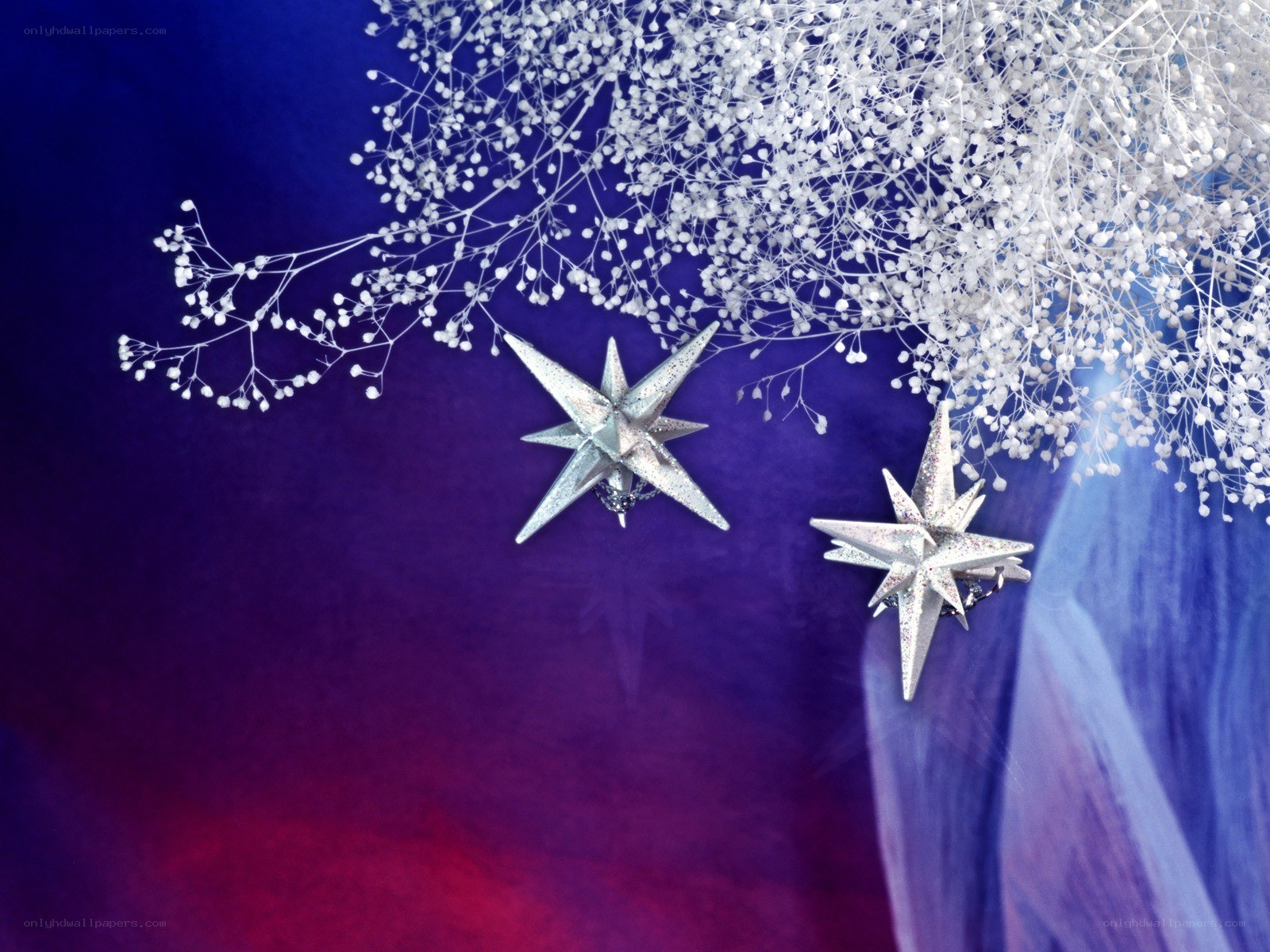 silver stars and white flowers