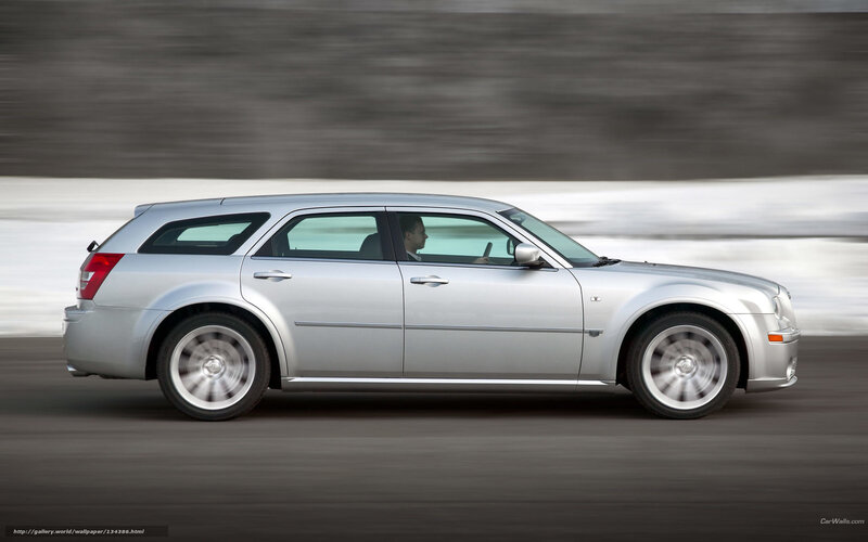 Silver Station Wagon — Dynamic, Photograph, Driver