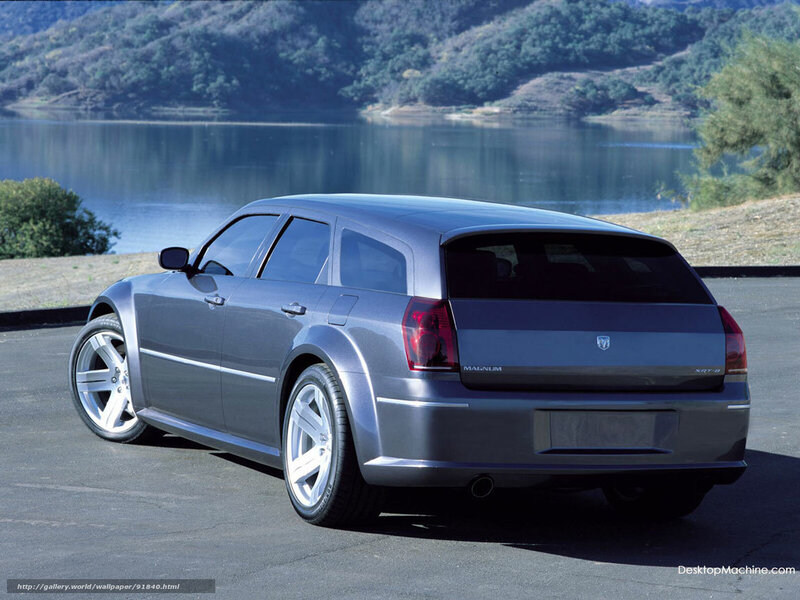 Silver Station Wagon — Gray, Serene, Afternoon, Photograph