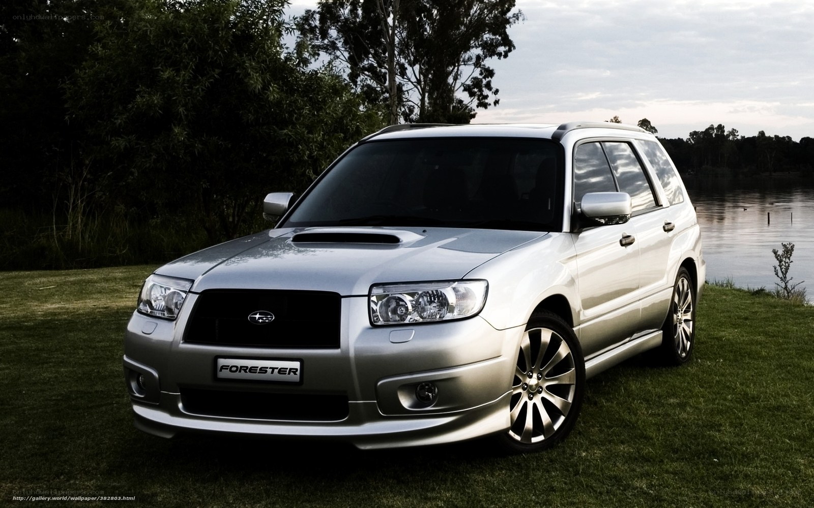 silver subaru forester by lake
