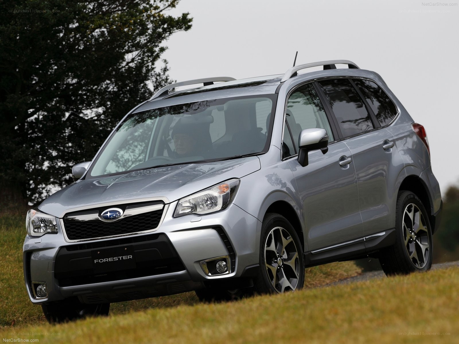 Silver Subaru Forester on a grassy hill