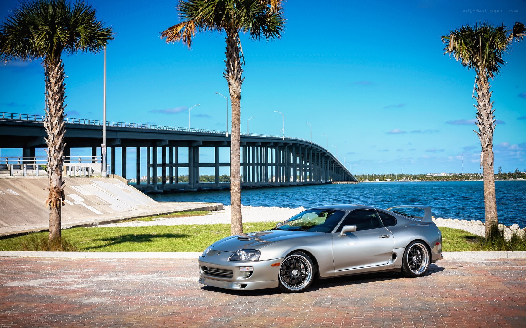 Silver Supra by the water