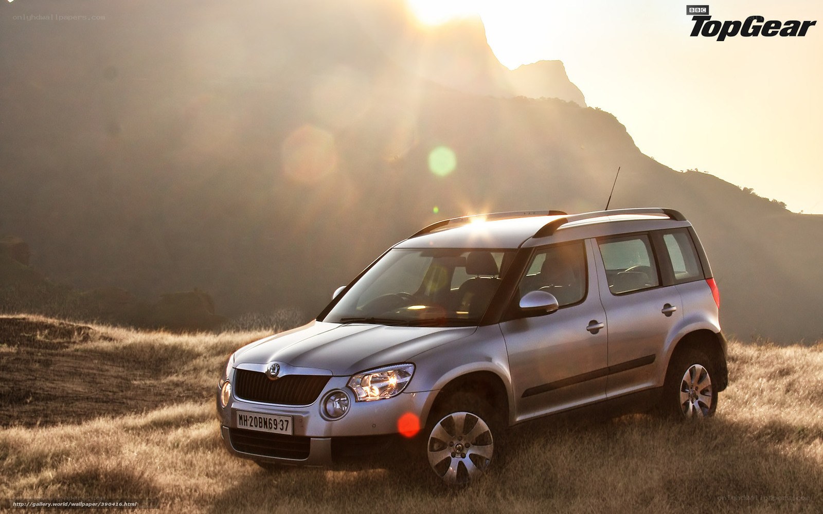 Silver SUV in a field