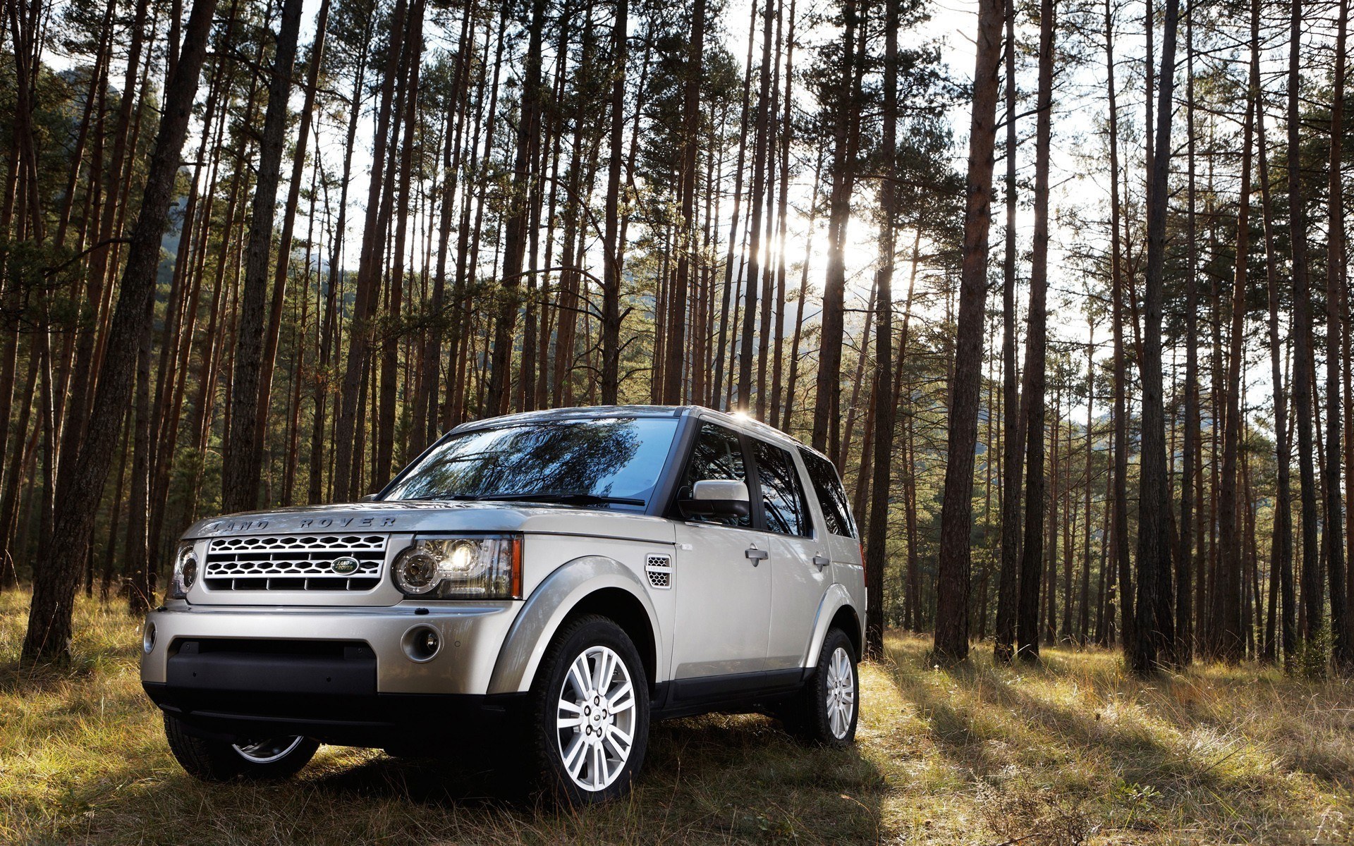 Silver SUV in a forest
