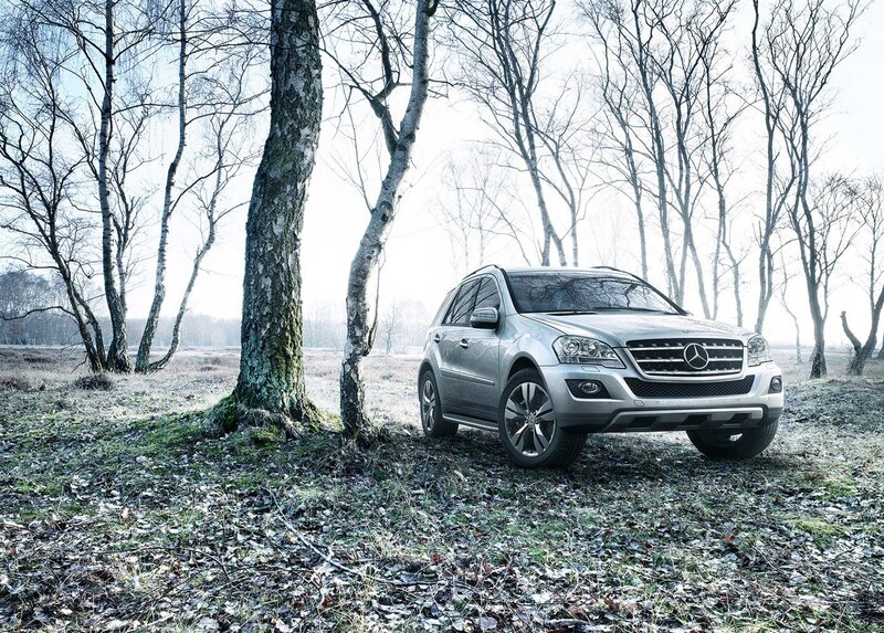 Silver SUV in a forest