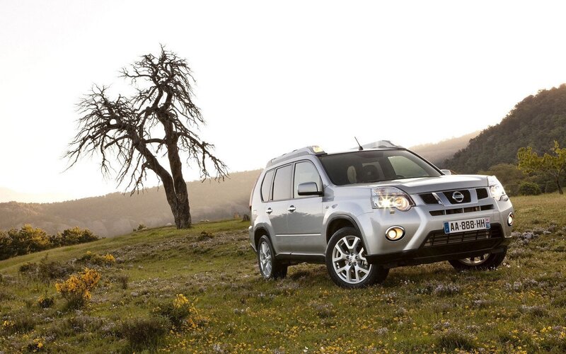 Silver SUV in a meadow