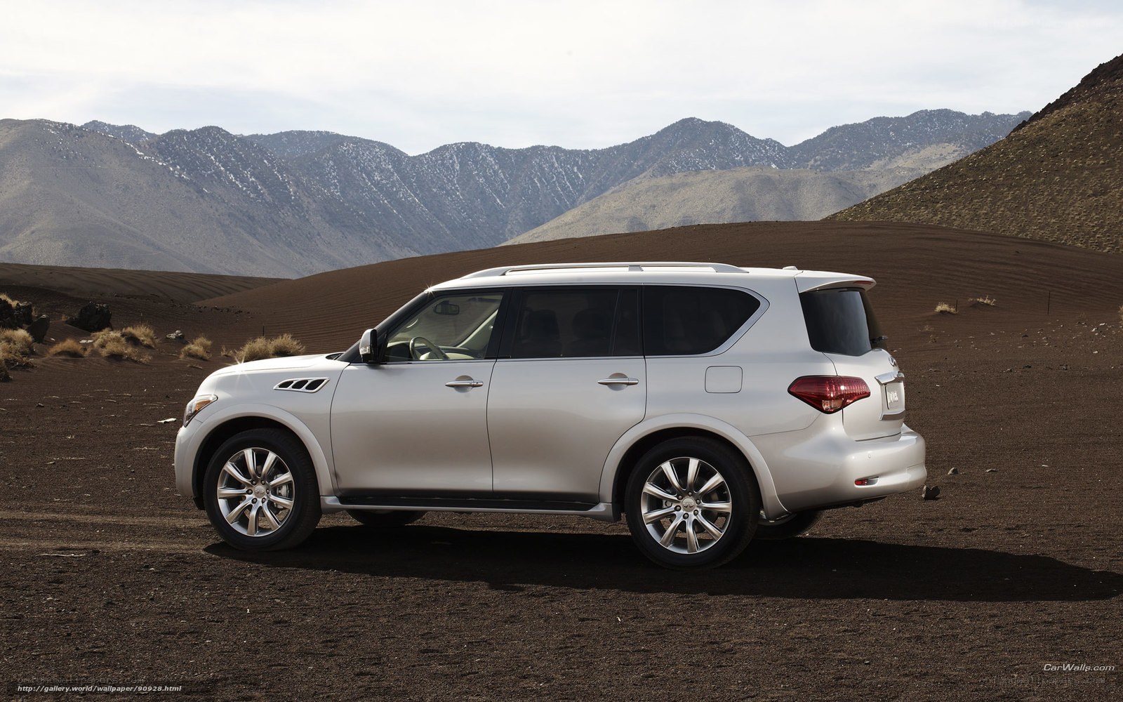 Silver SUV in desert landscape