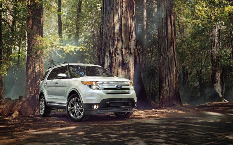 Silver Suv in Forest