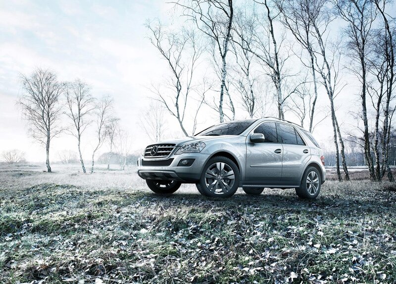 Silver SUV in frosty field