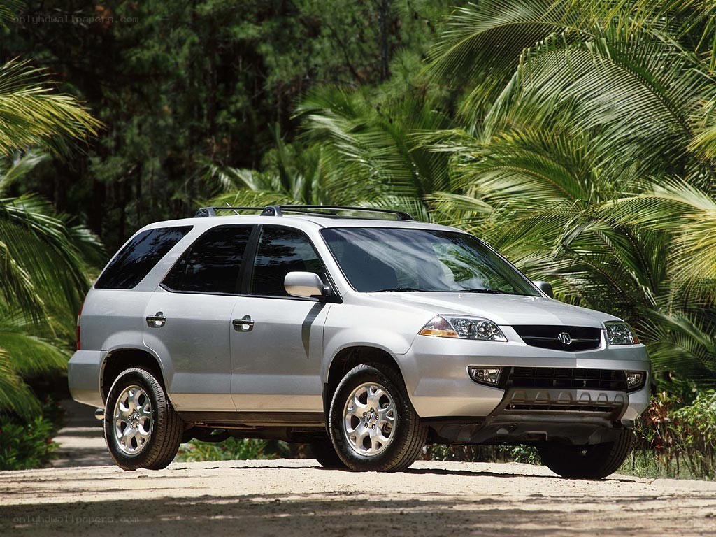 silver suv in tropical setting