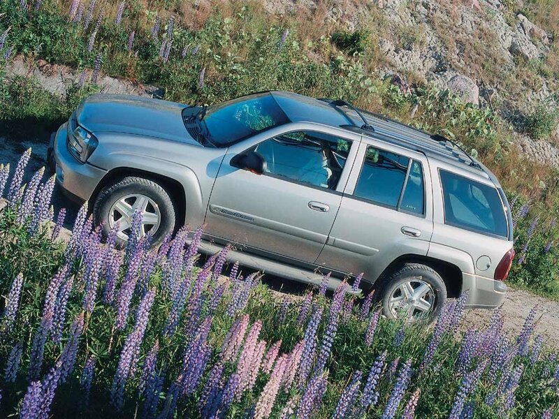 Silver SUV in wildflower field