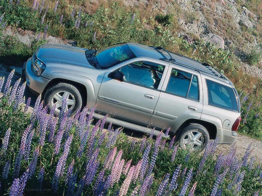 Silver SUV in wildflower field